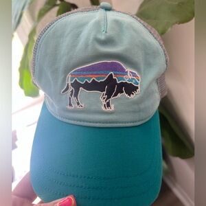 Patagonia bison trucker hat with adjustable strap